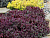image_6895822_13180108