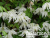 image_7681564_14884811
