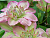 image_7681564_14978884