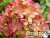 image_8255520_16831380 image_8255520_16831380