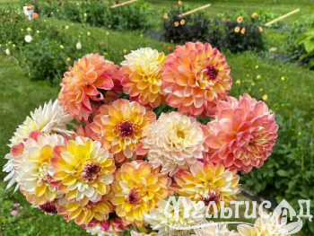 Креатив без названия (35)