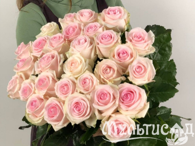 Креатив без названия (3)