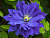 image_7681564_14920922