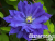 image_7681564_14920922