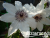 image_7681564_14978384 image_7681564_14978384