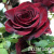 b08wfhgjgw0ire1s3xnznq12s65pg7kw b08wfhgjgw0ire1s3xnznq12s65pg7kw