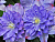 image_7681564_14920754