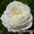 wqrlx3kwpz2nlkohuwozi62sl8nep724 wqrlx3kwpz2nlkohuwozi62sl8nep724