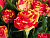 6tsyu548de3lgt7ls1mb2p5gshd1g75l