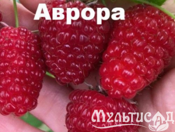 Креатив без названия (90)