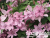 image_7681564_14949502 image_7681564_14949502