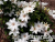 image_7681564_14948561
