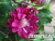 image_7681564_14918793 (1)