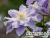 image_7681564_14920088
