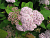 image_8165532_16177891