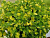 image_8255520_16833071