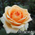 4e2a68f0aa8697ee4b28219d4e84fab3 4e2a68f0aa8697ee4b28219d4e84fab3