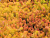 image_8165532_16201319