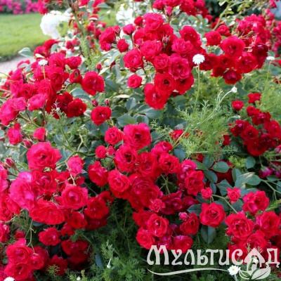 ab8be70d01440e3093a8f2d4930e5649