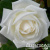 8nihpe4eqamxr71qywlcjdik6hs9n3v5 8nihpe4eqamxr71qywlcjdik6hs9n3v5