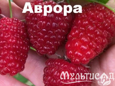 Креатив без названия (90)