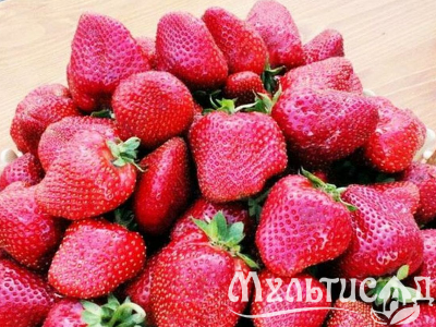 image_7681564_15013108