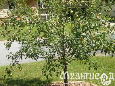 Креатив без названия (5)