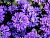 image_8165532_16178503