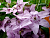 image_7681564_14949481