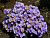 image_8165532_16178375