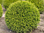 image_8255520_16356784