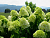 image_6895822_13179969