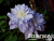 image_7681564_14920035