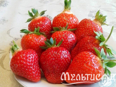 image_7681564_15015370 (1)