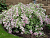 image_6895822_13179583