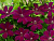 image_7681564_14978466