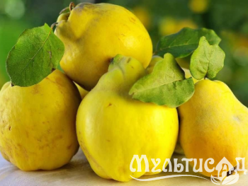 image_8255520_16390038