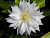 image_7681564_14948501