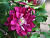 image_7681564_14918793 (1)