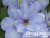 image_7681564_14920700 image_7681564_14920700