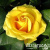 2royt0f6jo025zf27ps0tsqujiw7hteb 2royt0f6jo025zf27ps0tsqujiw7hteb