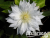 image_7681564_14948501 image_7681564_14948501