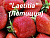 image_7681564_15010987