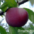 ca78c1689a0076c82341a5f5348dac01 ca78c1689a0076c82341a5f5348dac01