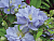 image_7681564_14920059