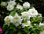image_7681564_14948235