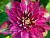 image_7681564_14949687